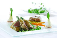 Gastro-Consulting